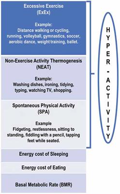 The Central Role of Hypothermia and Hyperactivity in Anorexia Nervosa: A Hypothesis